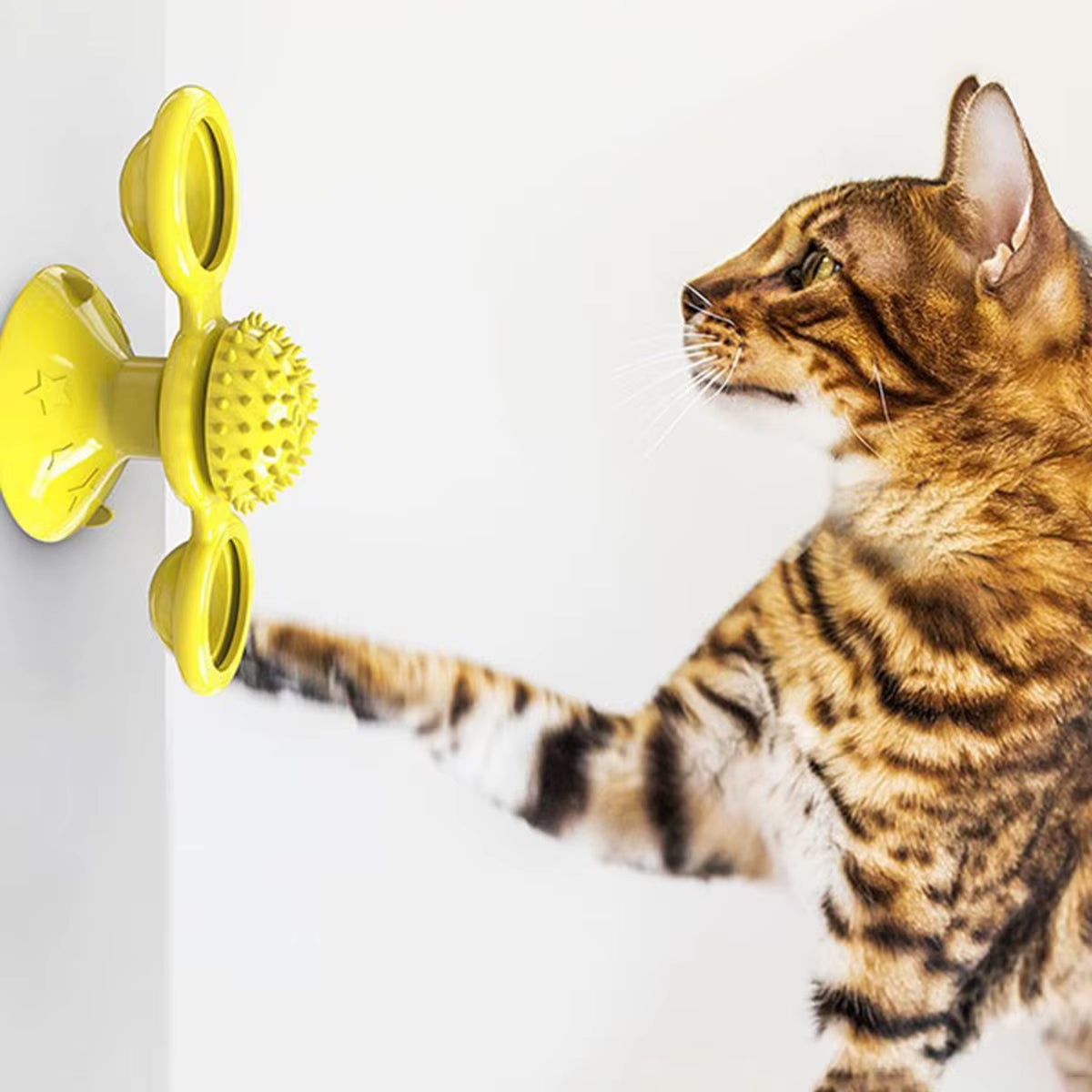 Engaging Interactive Cat Toy with Glowing Ball & Catnip - Suction Cup Design for Fun Play and Dental Care